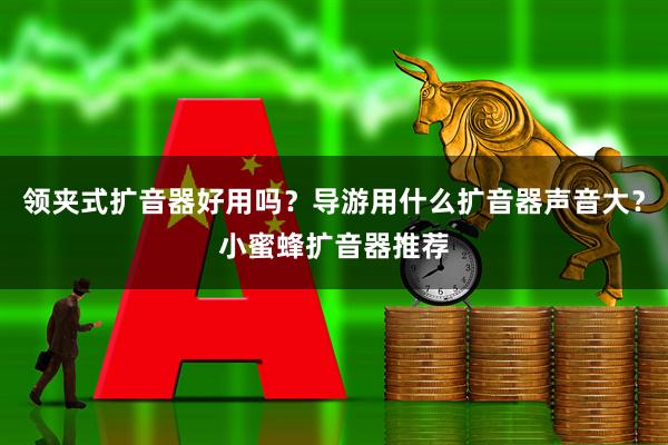 领夹式扩音器好用吗？导游用什么扩音器声音大？小蜜蜂扩音器推荐